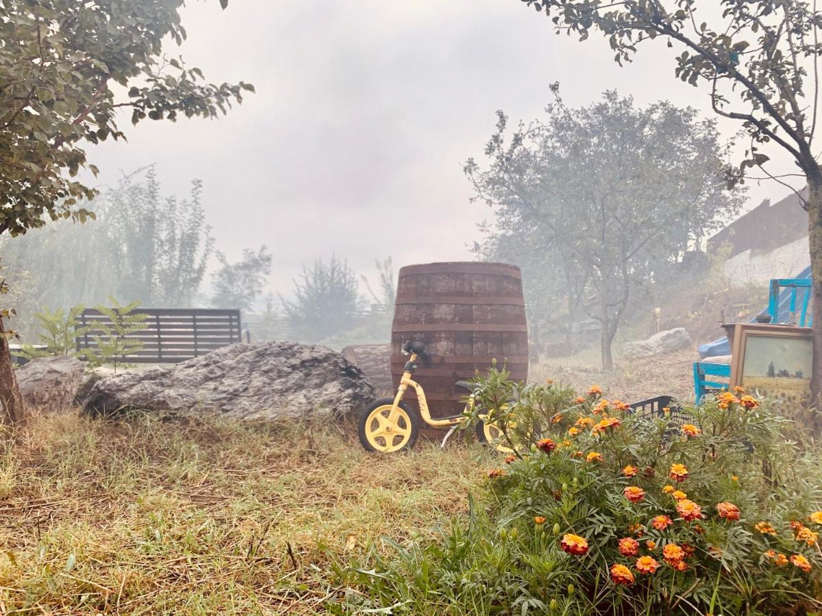 Pensiunea 4 Salcii Băltenii de Sus Exterior foto
